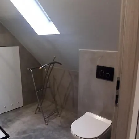 Loft 1 アパート シフィノウイシチェ