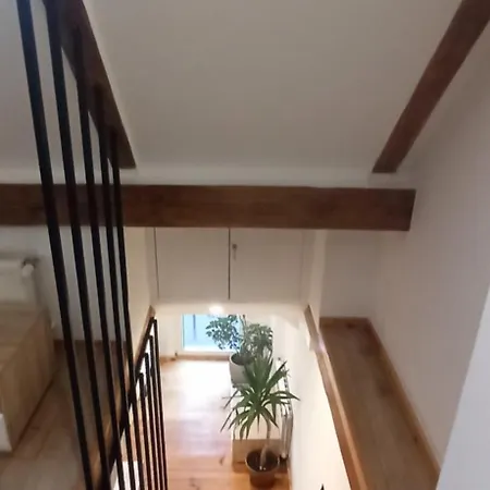 Apartmán Loft 1