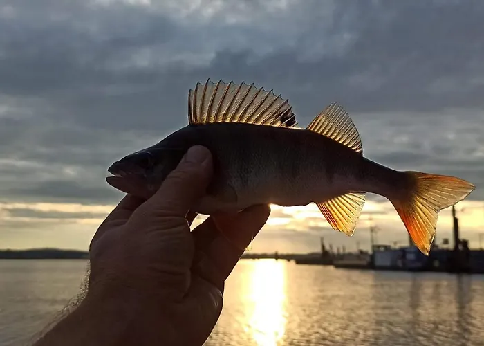 Loft 1 Apartmán Svinoústí